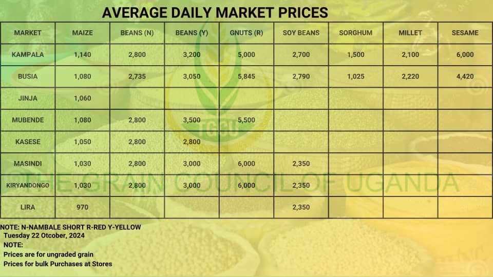 Grain Prices