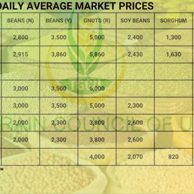 Grain prices